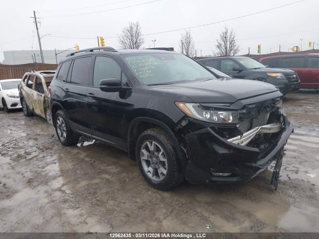 12562435 :رقم المزاد ، 5FNYF8H61PB502116 vin ، 2023 Honda Passport مزاد بيع