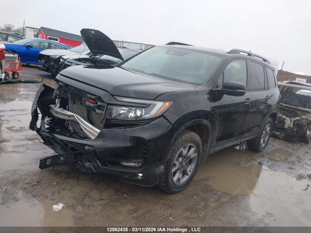12562435 :رقم المزاد ، 5FNYF8H61PB502116 vin ، 2023 Honda Passport مزاد بيع