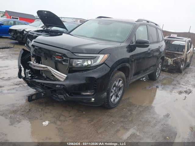 12562435 :رقم المزاد ، 5FNYF8H61PB502116 vin ، 2023 Honda Passport مزاد بيع