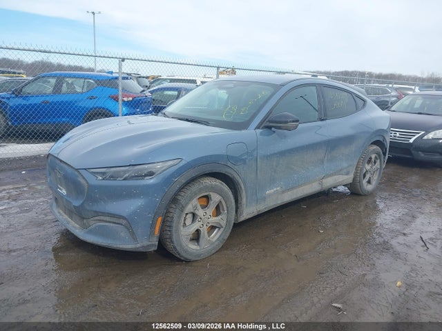 12562509 :رقم المزاد ، 3FMTK1SU2RMA30698 vin ، 2024 Ford Mustang Mach-e Select مزاد بيع