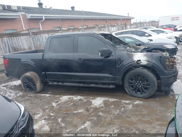 Продажа на аукционе авто 2024 Ford F-150, vin: 1FTEW3LP1RFA21660, номер лота: 12562521