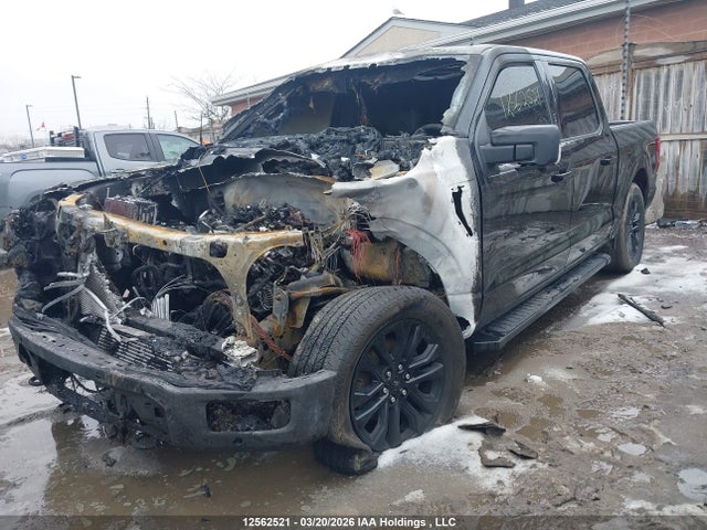 Продажа на аукционе авто 2024 Ford F-150, vin: 1FTEW3LP1RFA21660, номер лота: 12562521