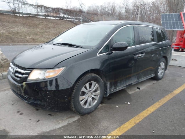 5FNRL5H6XGB505592 Honda Odyssey Ex-l