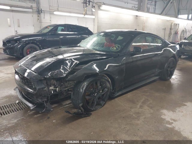 Продаж на аукціоні авто 2022 Ford Mustang, vin: 1FA6P8TH5N5109415, номер лоту: 12562605