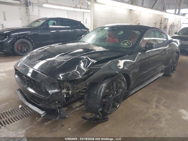 Продаж на аукціоні авто 2022 Ford Mustang, vin: 1FA6P8TH5N5109415, номер лоту: 12562605
