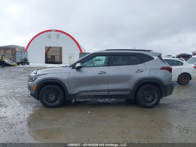 Aukcja sprzedaży 2021 Kia Seltos Ex, vin: KNDEUCAA3M7121704, numer aukcji: 12562637