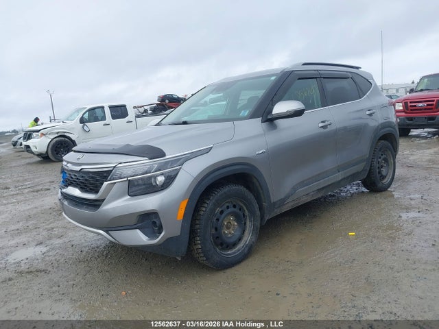 Aukcja sprzedaży 2021 Kia Seltos Ex, vin: KNDEUCAA3M7121704, numer aukcji: 12562637