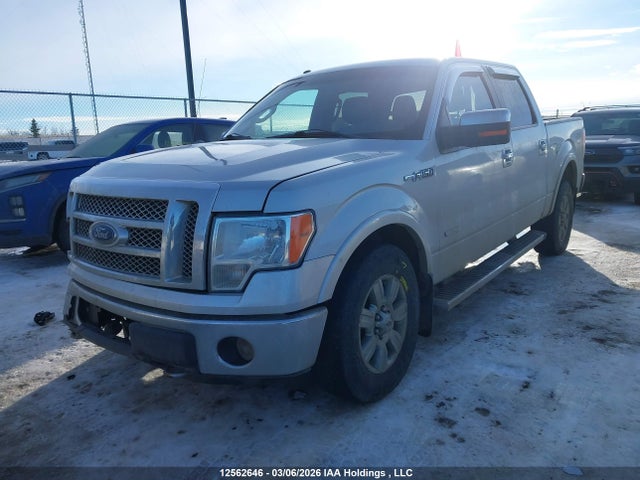 12562646 :رقم المزاد ، 1FTFW1ET2BKE12137 vin ، 2011 Ford F150 Supercrew مزاد بيع