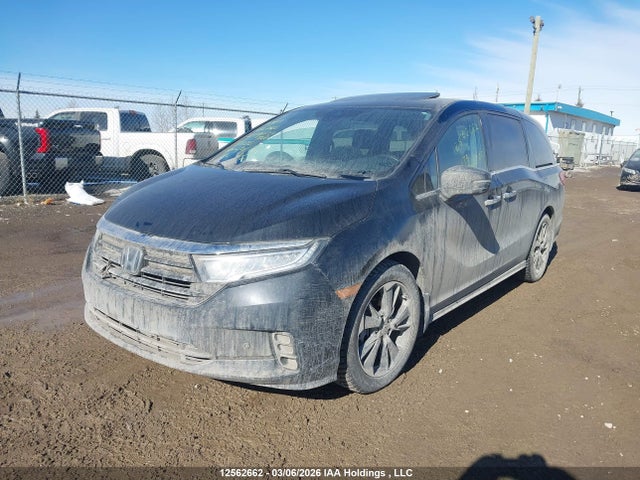 5FNRL6H82NB503131 Honda Odyssey Touring