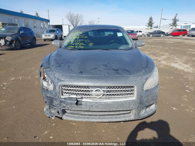 Продаж на аукціоні авто 2009 Nissan Maxima S/sv, vin: 1N4AA51E99C855547, номер лоту: 12562665