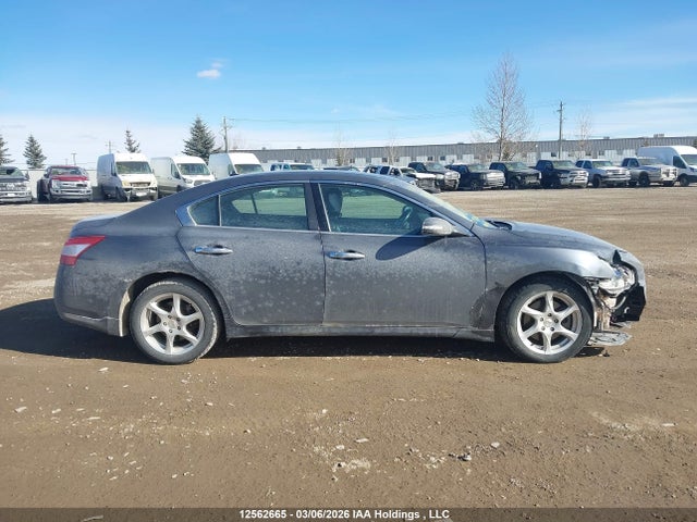 Продаж на аукціоні авто 2009 Nissan Maxima S/sv, vin: 1N4AA51E99C855547, номер лоту: 12562665