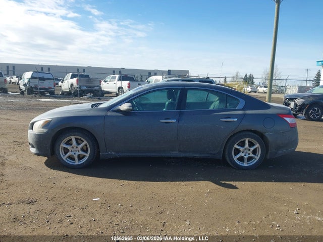 Продаж на аукціоні авто 2009 Nissan Maxima S/sv, vin: 1N4AA51E99C855547, номер лоту: 12562665