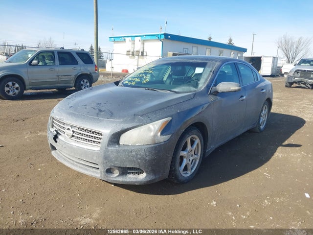 Продаж на аукціоні авто 2009 Nissan Maxima S/sv, vin: 1N4AA51E99C855547, номер лоту: 12562665