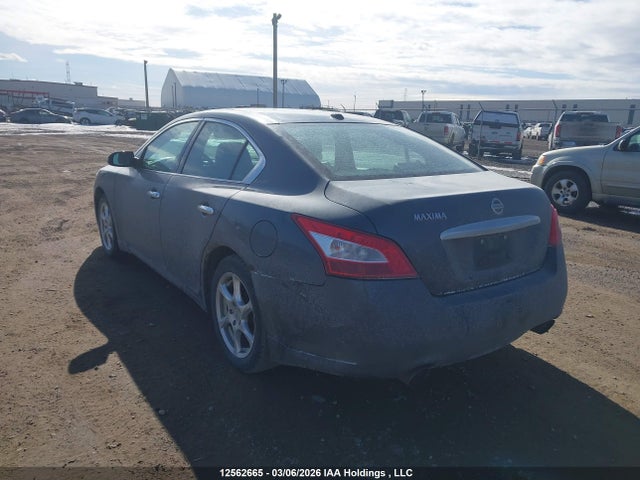 Продаж на аукціоні авто 2009 Nissan Maxima S/sv, vin: 1N4AA51E99C855547, номер лоту: 12562665
