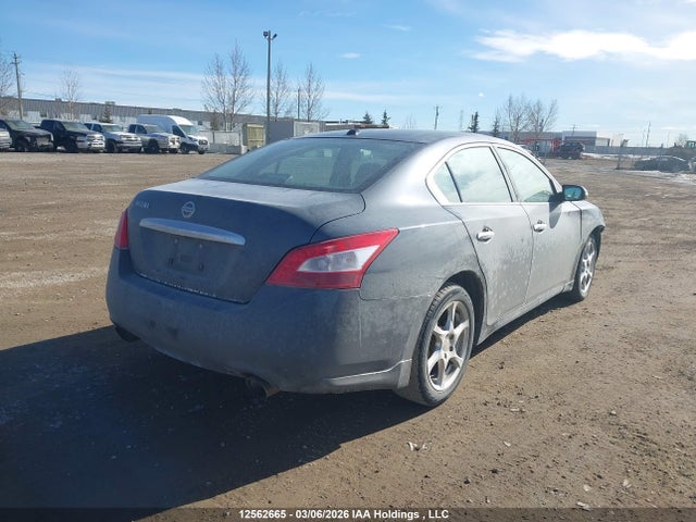 Продаж на аукціоні авто 2009 Nissan Maxima S/sv, vin: 1N4AA51E99C855547, номер лоту: 12562665