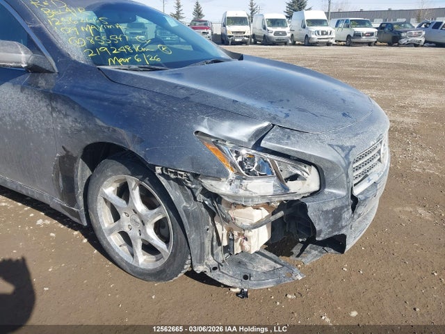 Продаж на аукціоні авто 2009 Nissan Maxima S/sv, vin: 1N4AA51E99C855547, номер лоту: 12562665
