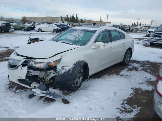 Продаж на аукціоні авто 2013 Acura Tl Tech, vin: 19UUA9F51DA800930, номер лоту: 12562671