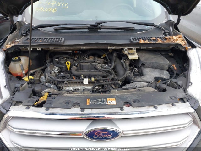 12562674 :رقم المزاد ، 1FMCU9HDXKUB35149 vin ، 2019 Ford Escape مزاد بيع