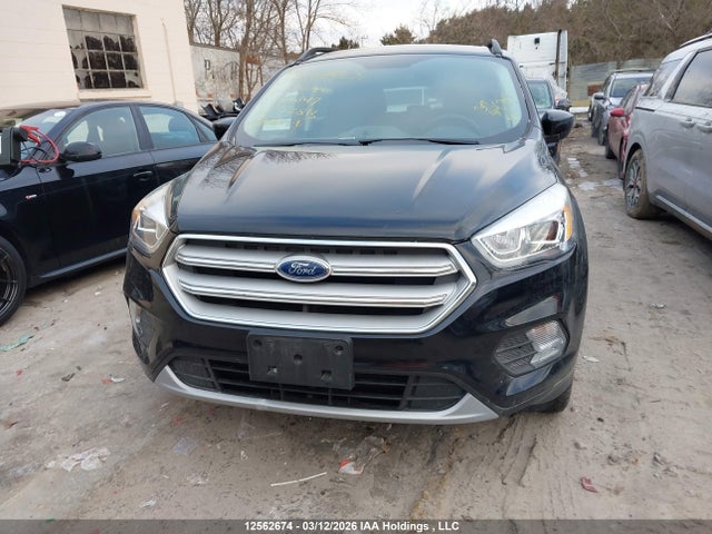 12562674 :رقم المزاد ، 1FMCU9HDXKUB35149 vin ، 2019 Ford Escape مزاد بيع