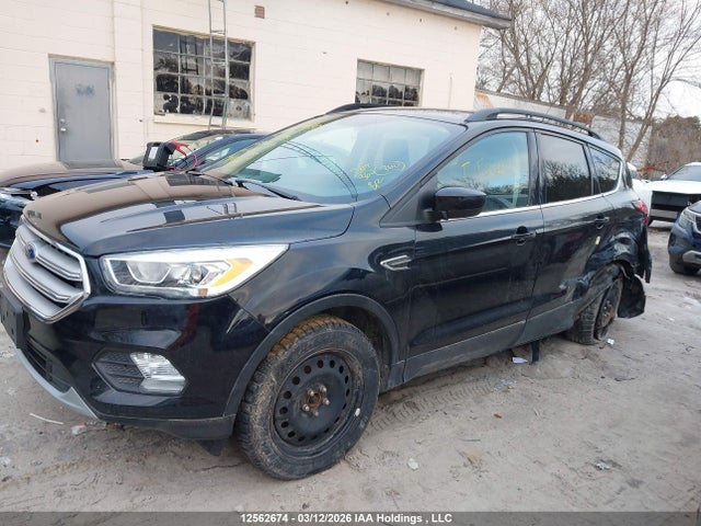 12562674 :رقم المزاد ، 1FMCU9HDXKUB35149 vin ، 2019 Ford Escape مزاد بيع