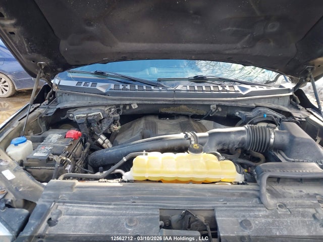 12562712 :رقم المزاد ، 1FTEW1E4XKFA88707 vin ، 2019 Ford F150 Supercrew مزاد بيع