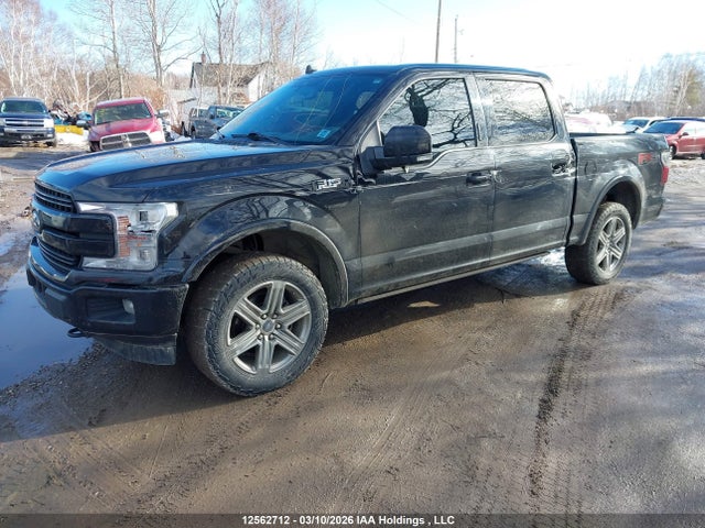 12562712 :رقم المزاد ، 1FTEW1E4XKFA88707 vin ، 2019 Ford F150 Supercrew مزاد بيع
