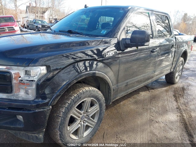 12562712 :رقم المزاد ، 1FTEW1E4XKFA88707 vin ، 2019 Ford F150 Supercrew مزاد بيع