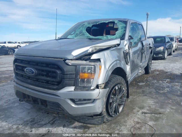 Aukcja sprzedaży 2021 Ford F-150 King Ranch/lariat/limited/platinum/tremor/xl/xlt, vin: 1FTFW1E85MKE28282, numer aukcji: 12562718
