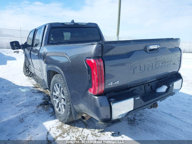 2023 Toyota Tundra Platinum მანქანა იყიდება აუქციონზე, vin: 5TFMA5EC1PX017292, აუქციონის ნომერი: 12562719