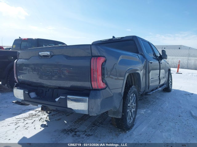2023 Toyota Tundra Platinum მანქანა იყიდება აუქციონზე, vin: 5TFMA5EC1PX017292, აუქციონის ნომერი: 12562719