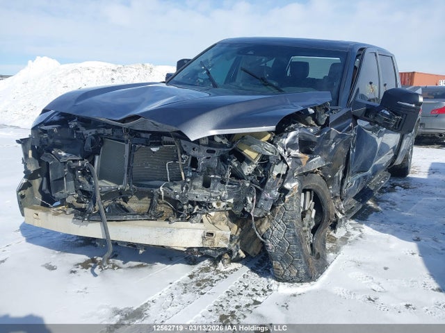 2023 Toyota Tundra Platinum მანქანა იყიდება აუქციონზე, vin: 5TFMA5EC1PX017292, აუქციონის ნომერი: 12562719