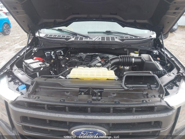 2023 Ford F150 Supercrew მანქანა იყიდება აუქციონზე, vin: 1FTFW1E52PFB93195, აუქციონის ნომერი: 12562737