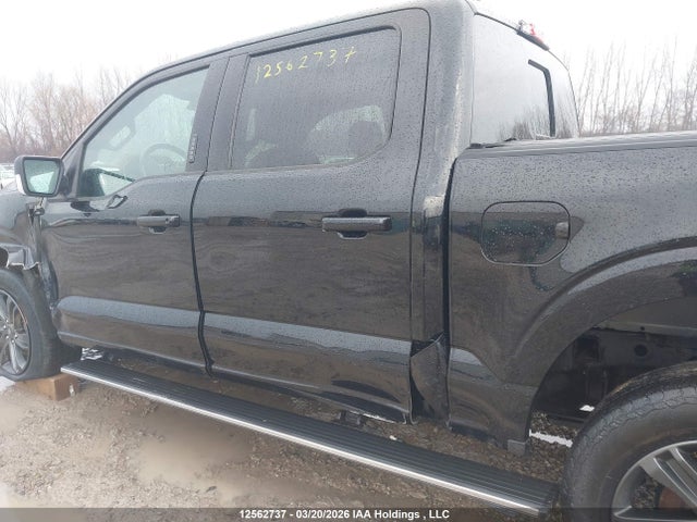 2023 Ford F150 Supercrew მანქანა იყიდება აუქციონზე, vin: 1FTFW1E52PFB93195, აუქციონის ნომერი: 12562737