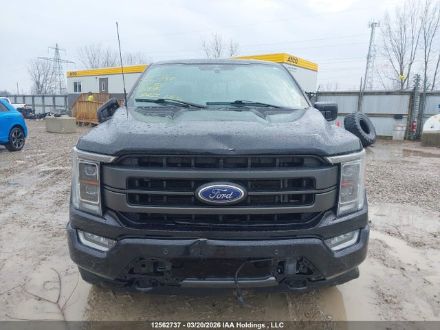 2023 Ford F150 Supercrew მანქანა იყიდება აუქციონზე, vin: 1FTFW1E52PFB93195, აუქციონის ნომერი: 12562737