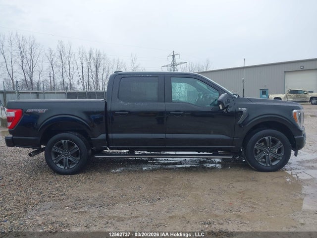 2023 Ford F150 Supercrew მანქანა იყიდება აუქციონზე, vin: 1FTFW1E52PFB93195, აუქციონის ნომერი: 12562737