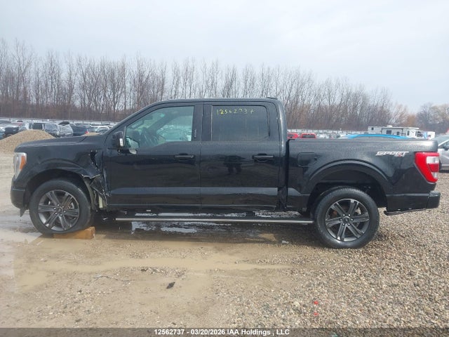2023 Ford F150 Supercrew მანქანა იყიდება აუქციონზე, vin: 1FTFW1E52PFB93195, აუქციონის ნომერი: 12562737