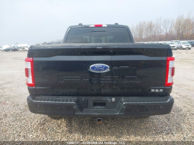2023 Ford F150 Supercrew მანქანა იყიდება აუქციონზე, vin: 1FTFW1E52PFB93195, აუქციონის ნომერი: 12562737