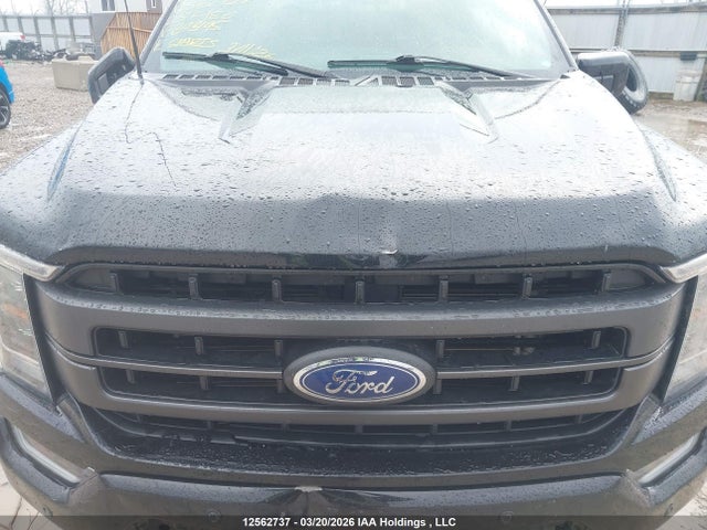 2023 Ford F150 Supercrew მანქანა იყიდება აუქციონზე, vin: 1FTFW1E52PFB93195, აუქციონის ნომერი: 12562737