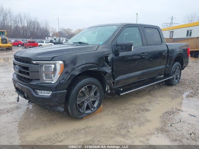 2023 Ford F150 Supercrew მანქანა იყიდება აუქციონზე, vin: 1FTFW1E52PFB93195, აუქციონის ნომერი: 12562737