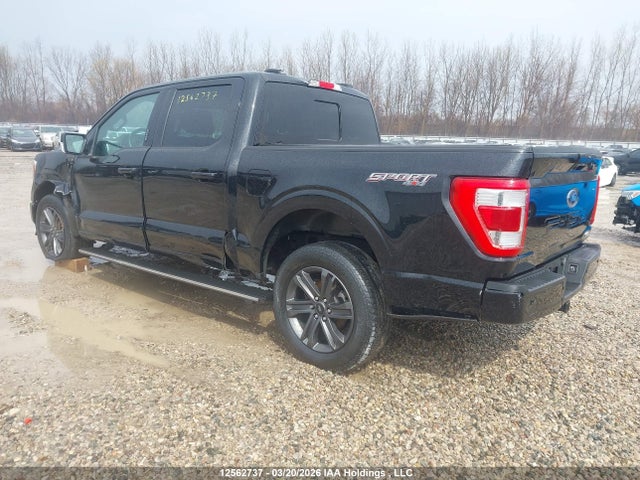 2023 Ford F150 Supercrew მანქანა იყიდება აუქციონზე, vin: 1FTFW1E52PFB93195, აუქციონის ნომერი: 12562737