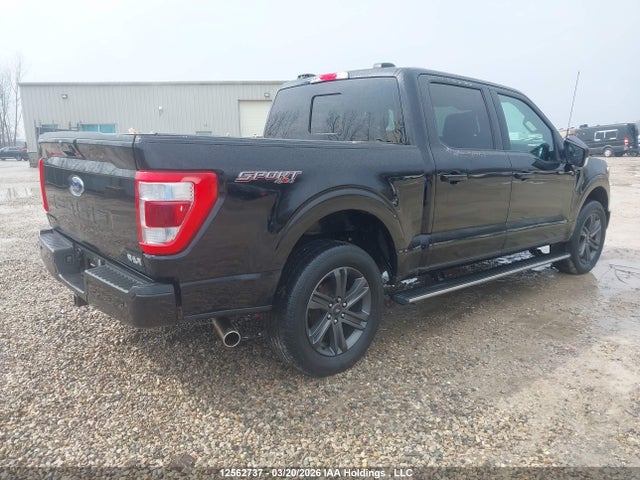 2023 Ford F150 Supercrew მანქანა იყიდება აუქციონზე, vin: 1FTFW1E52PFB93195, აუქციონის ნომერი: 12562737
