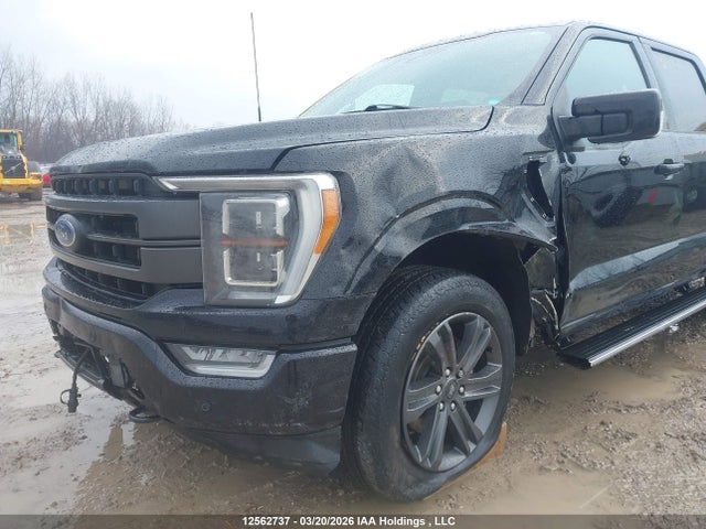 2023 Ford F150 Supercrew მანქანა იყიდება აუქციონზე, vin: 1FTFW1E52PFB93195, აუქციონის ნომერი: 12562737