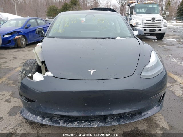 Aukcja sprzedaży 2023 Tesla Model 3, vin: LRW3E1EB0PC923678, numer aukcji: 12562808