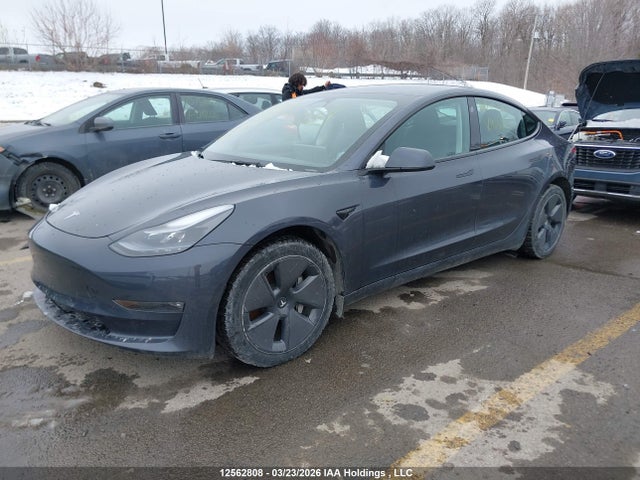 Aukcja sprzedaży 2023 Tesla Model 3, vin: LRW3E1EB0PC923678, numer aukcji: 12562808