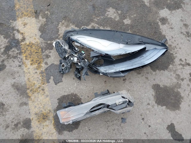 Aukcja sprzedaży 2023 Tesla Model 3, vin: LRW3E1EB0PC923678, numer aukcji: 12562808