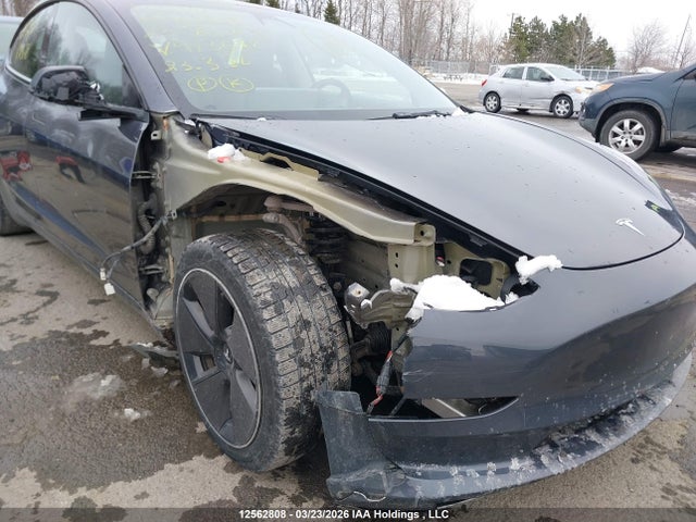 Aukcja sprzedaży 2023 Tesla Model 3, vin: LRW3E1EB0PC923678, numer aukcji: 12562808