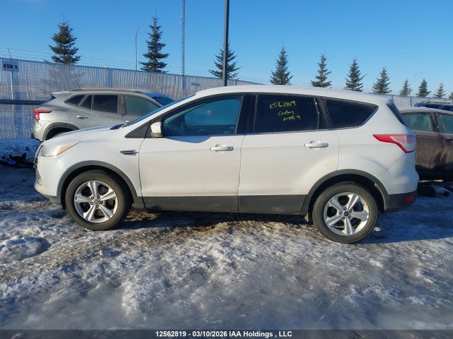 1FMCU9GX8GUA33724 Ford ESCAPE SE