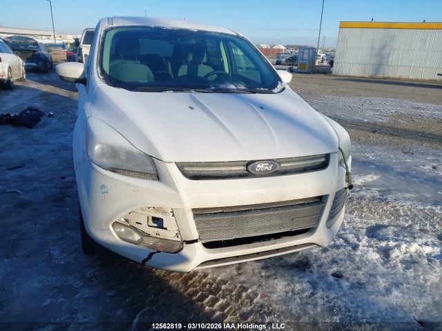 1FMCU9GX8GUA33724 Ford ESCAPE SE