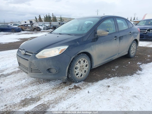 12562830 :رقم المزاد ، 1FADP3F27DL256038 vin ، 2013 Ford Focus Se مزاد بيع