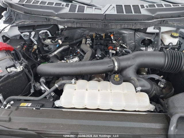 2024 Ford F-150 Xlt მანქანა იყიდება აუქციონზე, vin: 1FTFW3L81RKD73299, აუქციონის ნომერი: 12562901